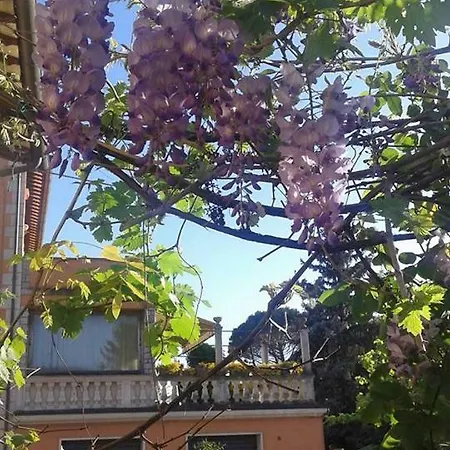 Il Nido Del Cuculo Apartman