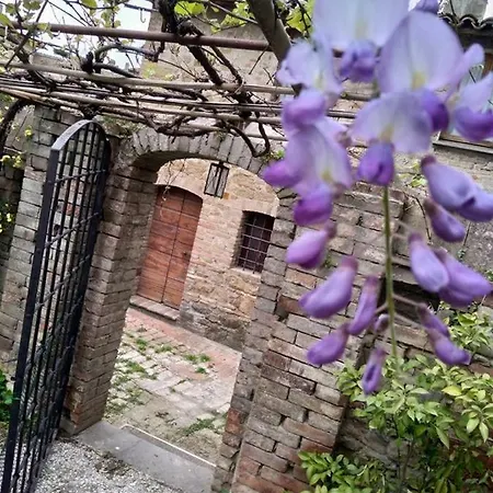 Apartamento Il Nido Del Cuculo