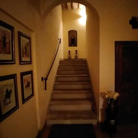 Il Nido Del Cuculo *